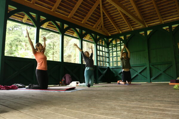 Yoga im Arboretum