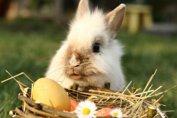 Ostern_Beitragsbild